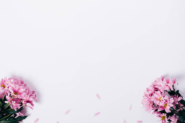istock Lilac flowers and petals on a white table 934129404