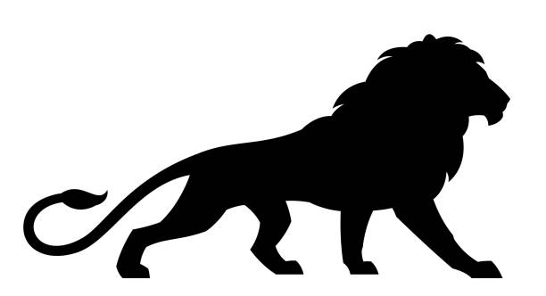 Black lion Black lion on a white background angry cat silhouette stock illustrations