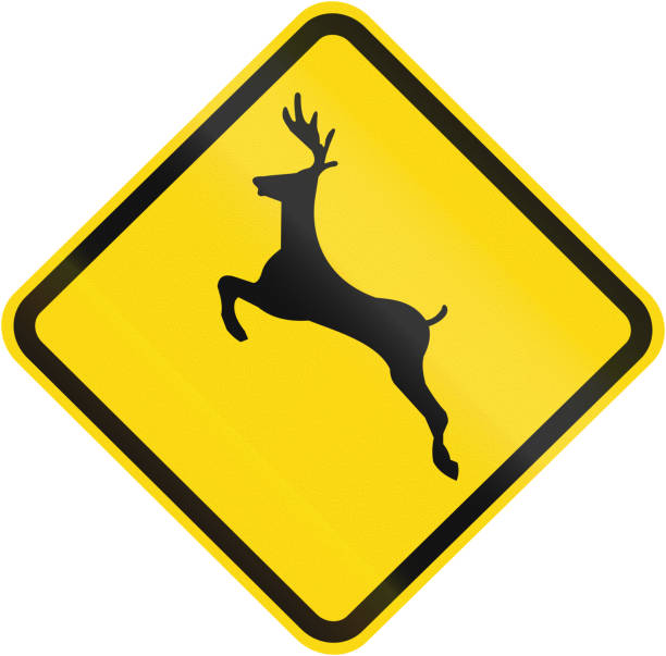 istock Deer Crossing warning sign used in Brazil 934135888