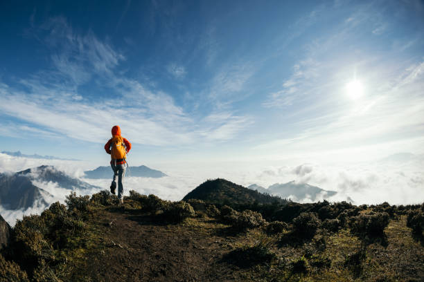 istock successful hiker walking in the beautiful landscape on mountain top 934139286