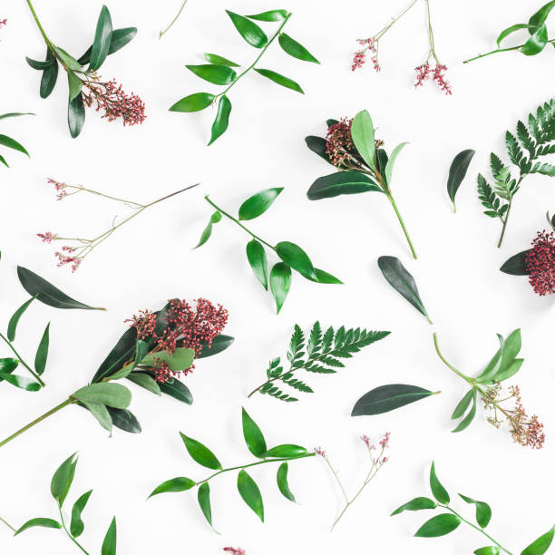 istock Tropical flowers leaves on white background. Flat lay, top view 934153536
