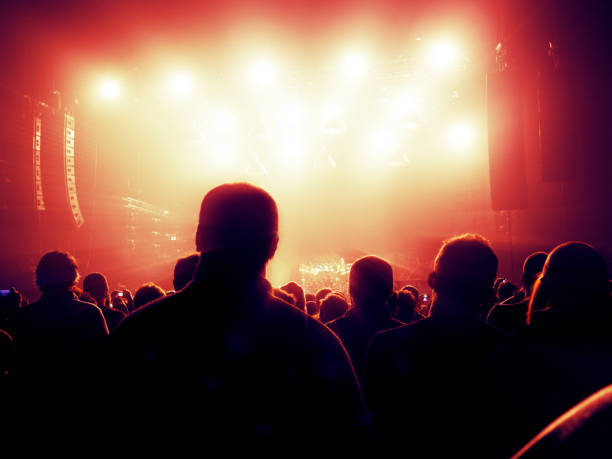 istock Concert crowd in front of a live stage 934166736