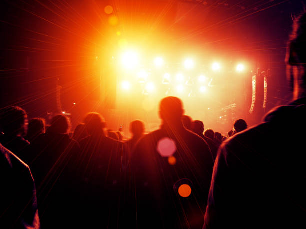 istock Concert crowd in front of a live stage 934166754