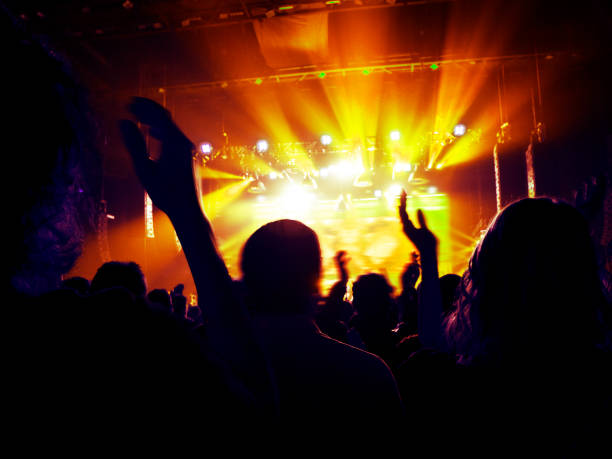 istock Concert crowd in front of a live stage 934167114