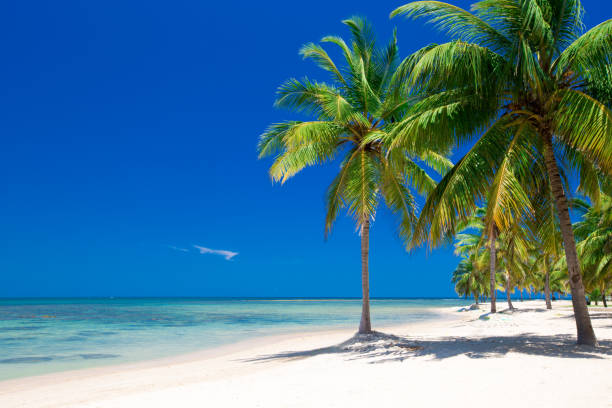 istock beach and tropical sea 934172950