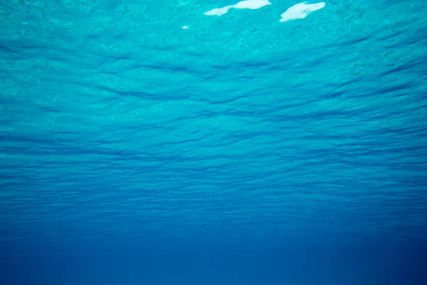 istock Underwater blue ocean background in sea 934177204