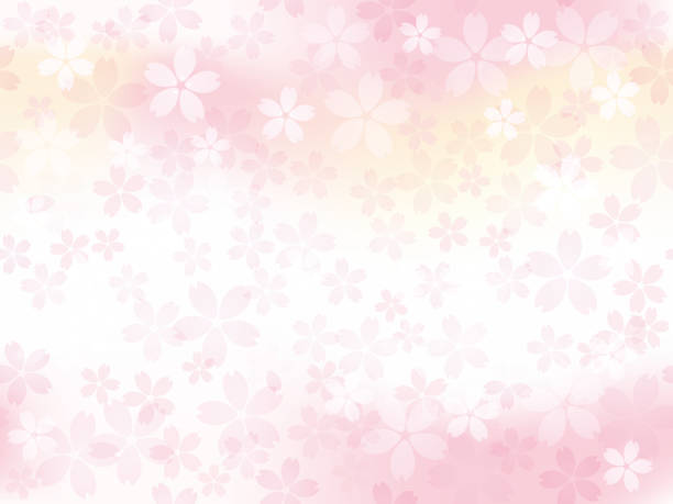 illustrations, cliparts, dessins animés et icônes de illustration de fond vectorielle continue avec des fleurs de cerisiers en pleine floraison. - femininity pattern backgrounds beauty