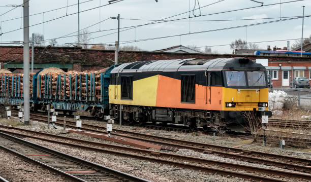 istock Lumber locomotive 934182544