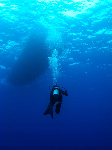 istock Lone Scuba Diver swimming back to the Boat 93419204