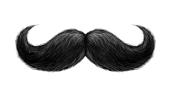 Vector black mustache. Gentleman curled facial hairstyle, barbershop decoration design symbol. Realistic isolated background illustration