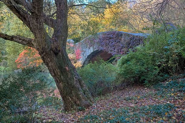 istock Autumn at the Gapstow bridge 93419529