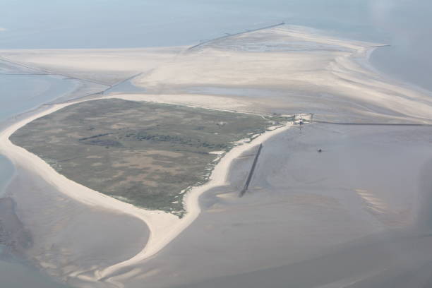 istock Aerial view of a bird island 934197714