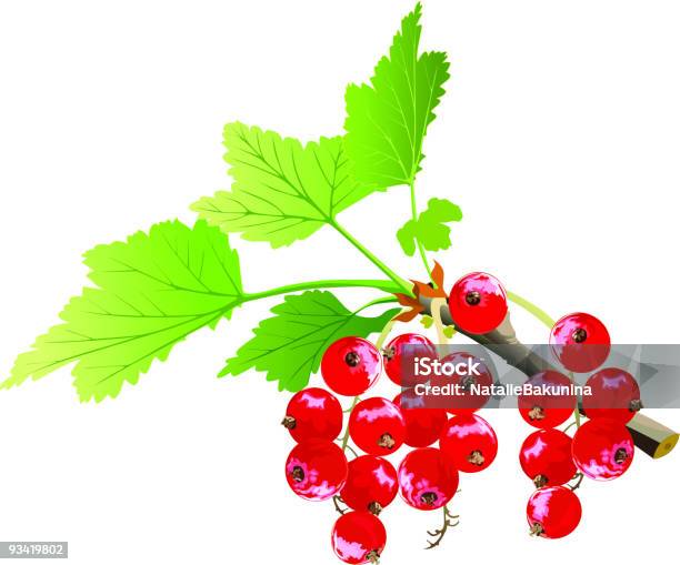 Gałąź Porzeczka - Stockowe grafiki wektorowe i więcej obrazów Porzeczka - Owoc jagodowy - Porzeczka - Owoc jagodowy, Bez ludzi, Błyszczący