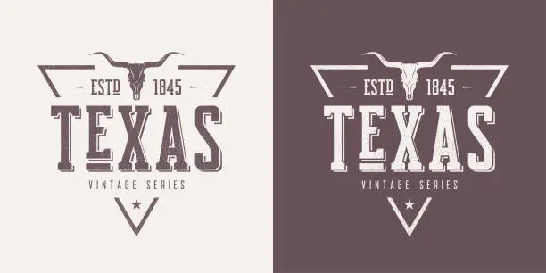 Vector illustration of Texas state textured vintage vector t-shirt and apparel design, typography, print, logo, poster.