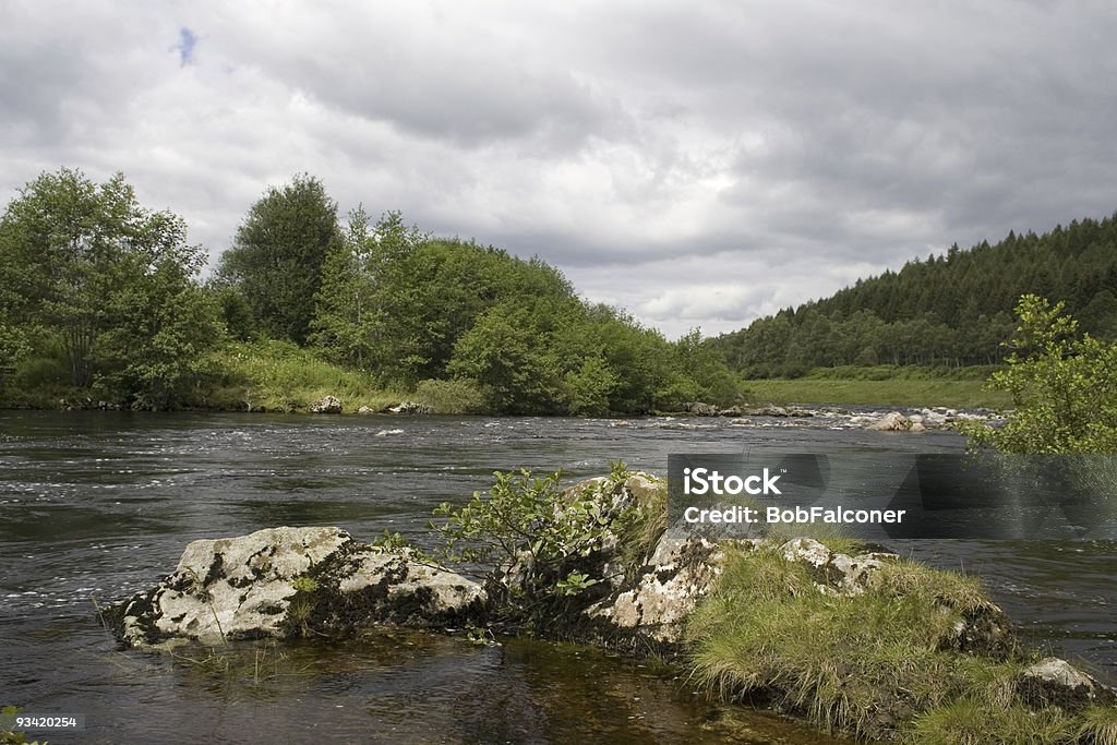 Rio Dee, Aberdeenshire - Foto de stock de Aberdeenshire royalty-free