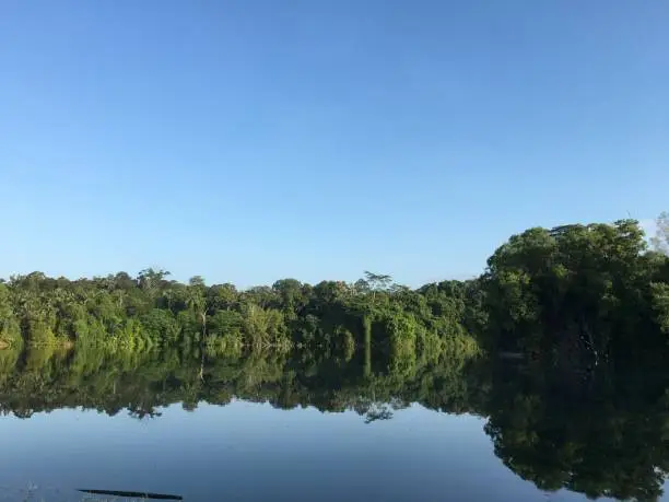Reflection of sky and green patch of trees in a lake