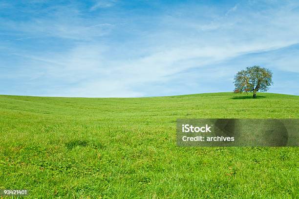 Einsame Baum Landschaft Stockfoto und mehr Bilder von Baum - Baum, Einsamkeit, Abgeschiedenheit