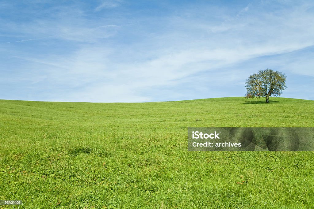 lonely árvore paisagem - Foto de stock de Solidão royalty-free