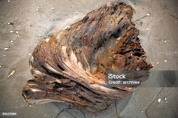 Driftwood Con Fregadero Foto de stock y más banco de imágenes de Agujero - Agujero, Arena, Arte