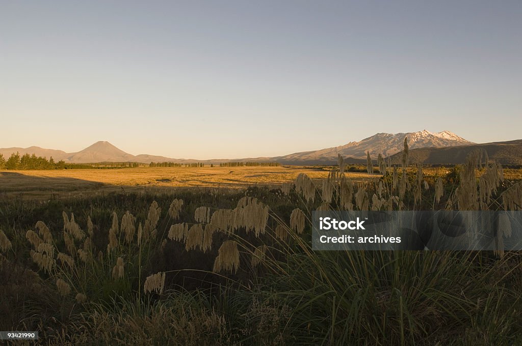 Vulcão bela Paisagem - Royalty-free Ajardinado Foto de stock