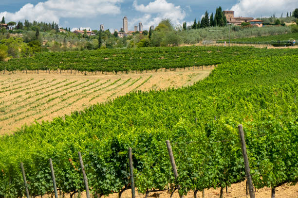 istock Landscape near San Gimignano (Tuscany) 934223642