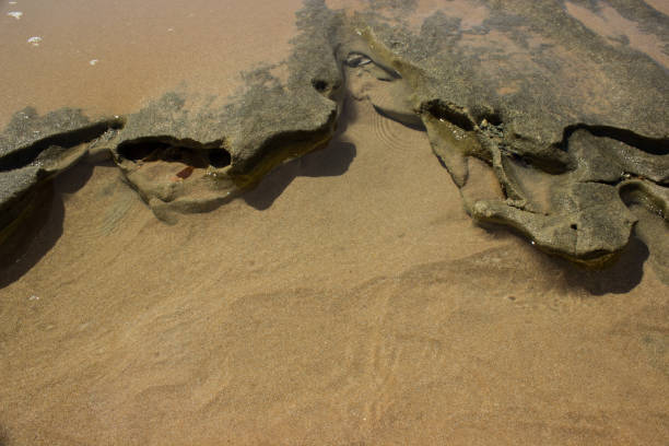 black rocks in yellow sand and water