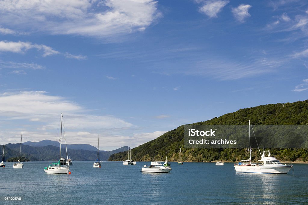 Puerto de Picton - Foto de stock de Agua libre de derechos