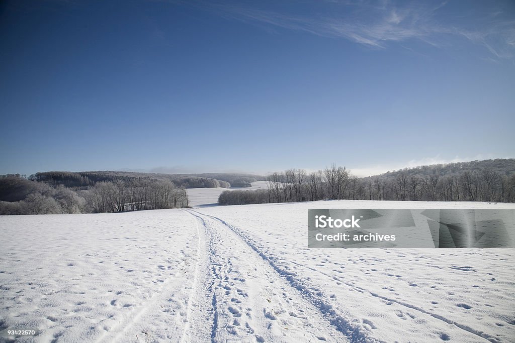 Soleado Día de invierno - Foto de stock de Aire libre libre de derechos