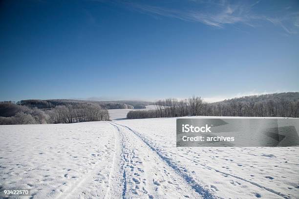 Soleado Día De Invierno Foto de stock y más banco de imágenes de Aire libre - Aire libre, Aislado, Ajardinado