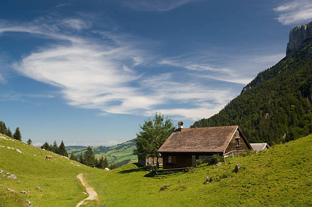 schweizer valley - bergwiese stock-fotos und bilder
