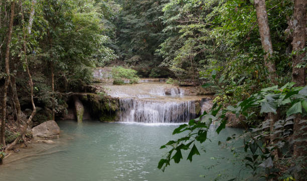 waterfall in the eravan national park - 16318 imagens e fotografias de stock