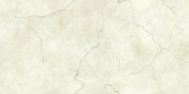 Skull Bone Backgrounds. Anatomy Abstract Texture. 3d rendering. 3d illustration.