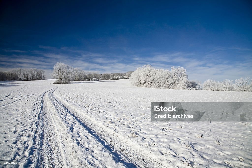 Paisaje de invierno - Foto de stock de Aire libre libre de derechos