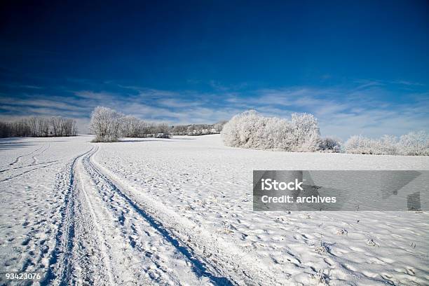 Paesaggio Invernale - Fotografie stock e altre immagini di Albero - Albero, Ambientazione esterna, Ambientazione tranquilla