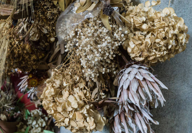istock fish and flower market 934233026