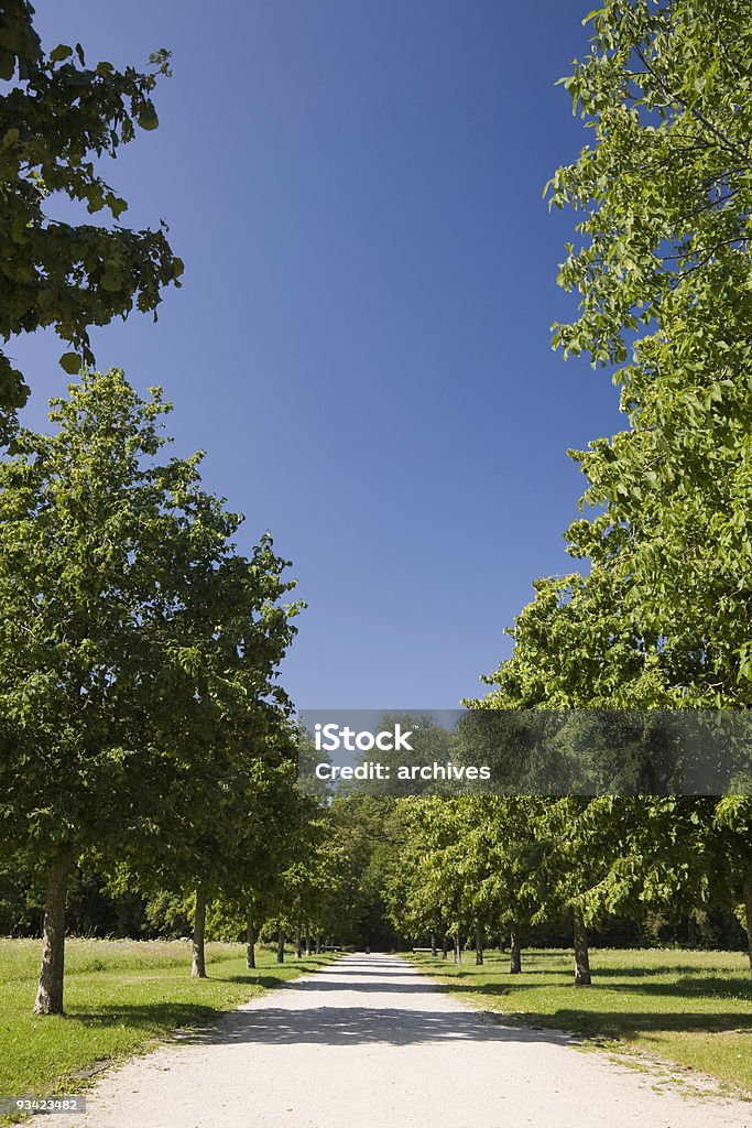 Jardín de verano Alley - Foto de stock de Aire libre libre de derechos