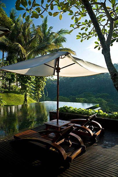 istock swimming pool in the jungle 93423548