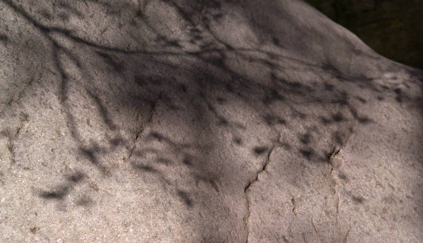 Rock Texture with Shadow Reavis Creek originates in the eastern Superstition Wilderness.  This photograph was captured below Reavis Falls. michael stephen wills texture stock pictures, royalty-free photos & images