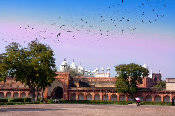 istock flock of birds over Red fort. India. Agra 934236644