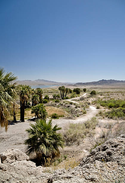 oasi nel deserto - heat haze illusion desert heat foto e immagini stock