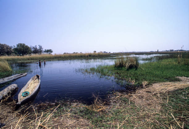 turismo no delta do okavango, botswana - makoro - fotografias e filmes do acervo