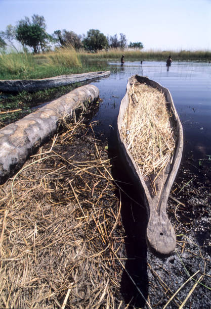 turismo no delta do okavango, botswana - makoro - fotografias e filmes do acervo