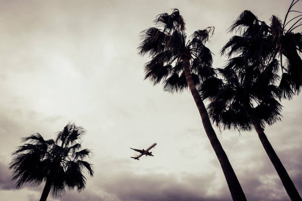 istock travel by flight in tropical place 934248740