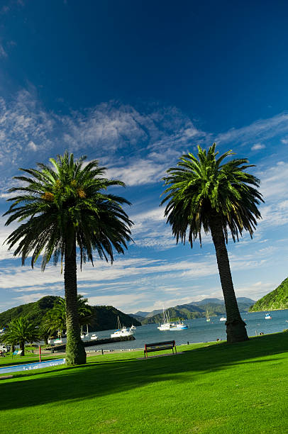 porto de picton palms - buoy anchored sea wave - fotografias e filmes do acervo