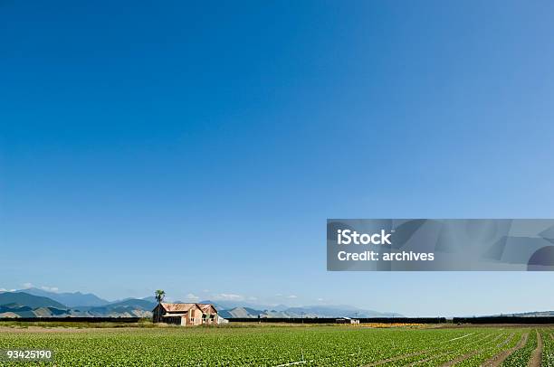 ファームの風景 - ニュージーランドのストックフォトや画像を多数ご用意 - ニュージーランド, 農園, 農村の風景
