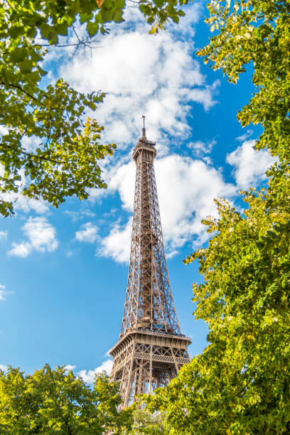 istock Eiffel Tower in green trees on blue sky 934255198