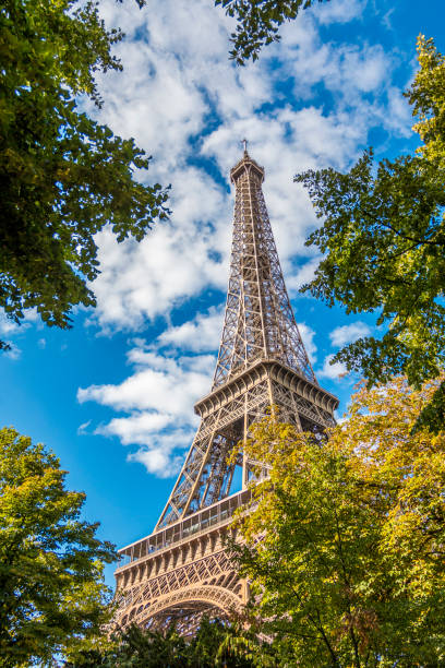 istock Eiffel Tower in green trees on blue sky 934255216