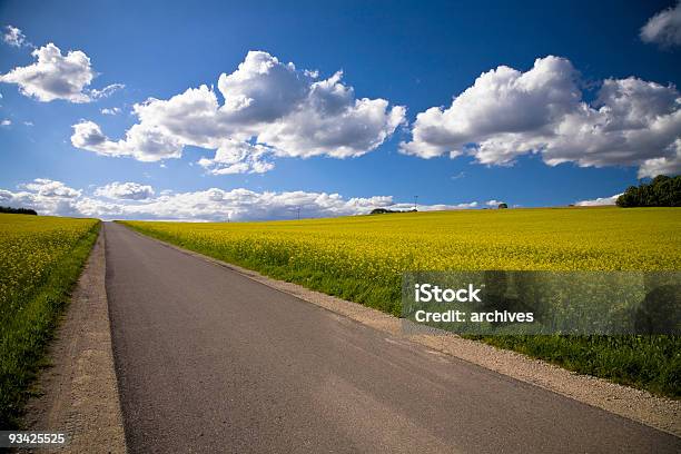 Strada Di Campagna - Fotografie stock e altre immagini di Canola - Canola, Agricoltura, Albero