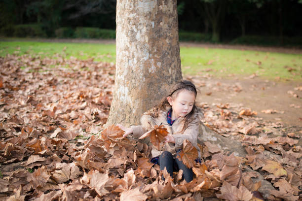 istock Little girl playing with fallen leaves 934255518