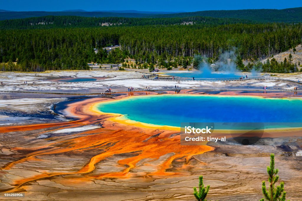 Grand Prismatic Spring A section of the Grand Prismatic Spring taken from the "Overlook" in Yellowstone National Park shows the spring with its unreal bright palette of colors. Yellowstone National Park Stock Photo